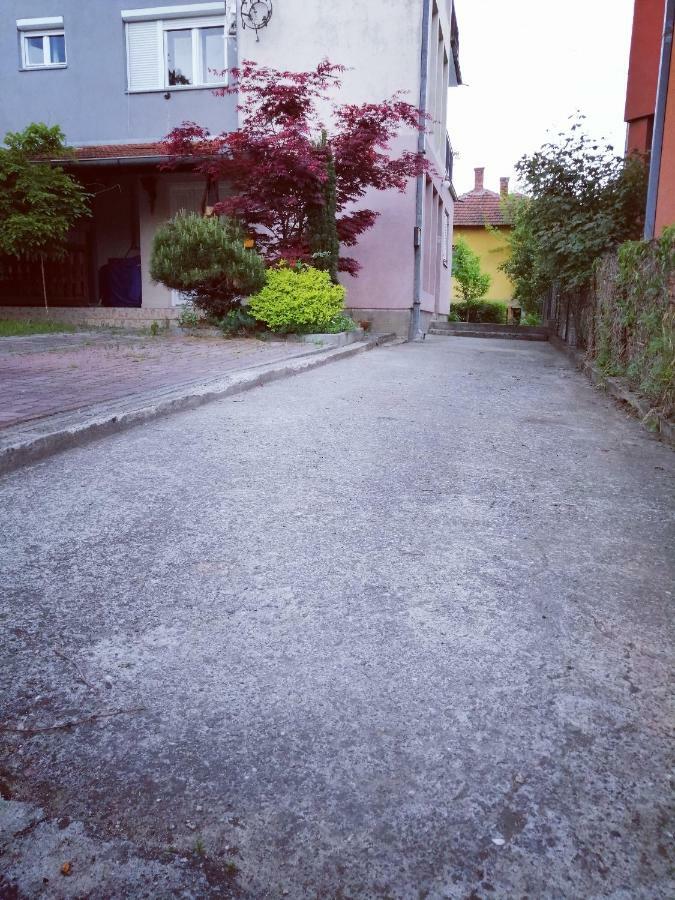 Apartmán Duplex Mihajlovic-Vrnjačka Banja Exteriér fotografie